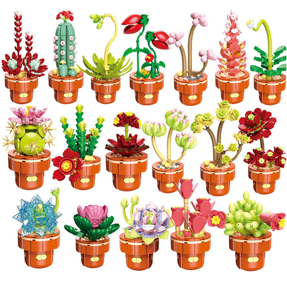 2024 City Creativity Succulent - Lego Set Creator recension och pris