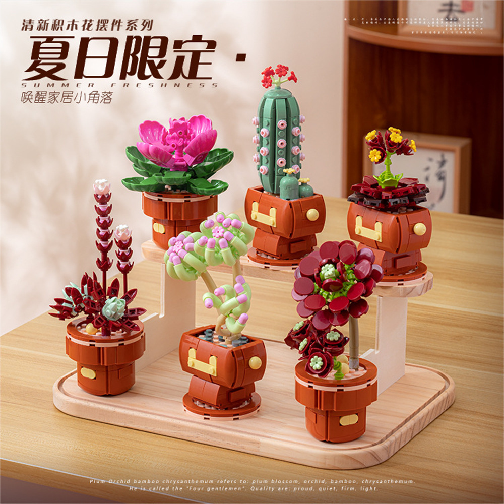 2024 City Creativity Succulent - Lego Set Creator recension och pris